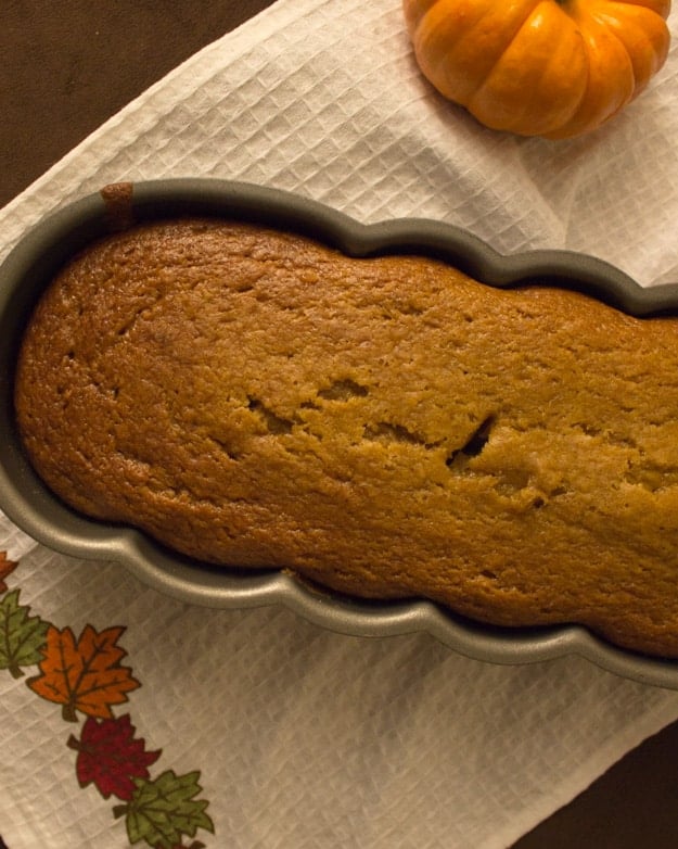 applesauce pumpkin bread in pan with small pumpkin sitting next to it