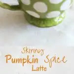 Skinny pumpkin spice latte - in the crockpot! Perfect for large parties or a way to treat yourself on a lazy morning.