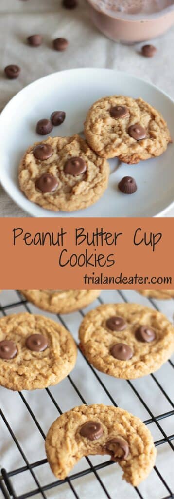 Peanut butter cup cookies - a delicious cookie with mini peanut butter cups baked in! Best served with a tall glass of chocolate milk.