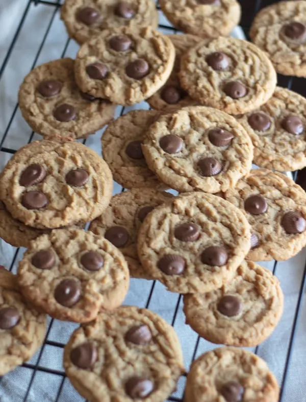 Peanut butter cup cookies - a delicious cookie with mini peanut butter cups baked in! Best served with a tall glass of chocolate milk.