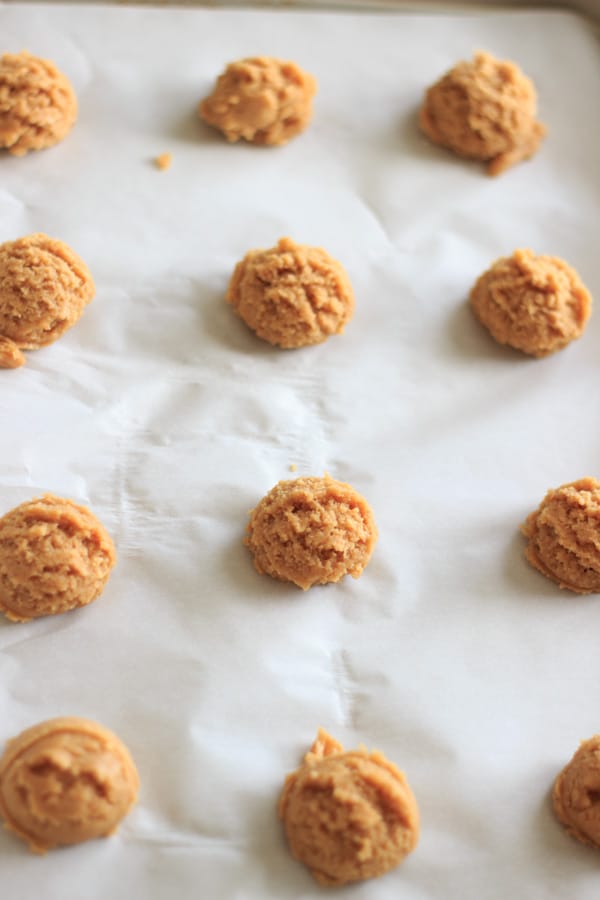 Peanut butter cup cookies - a delicious cookie with mini peanut butter cups baked in! Best served with a tall glass of chocolate milk.