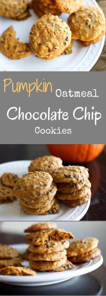 Pumpkin oatmeal chocolate chip cookies are a delicious treat. Just enough pumpkin flavor in this chewy dessert!