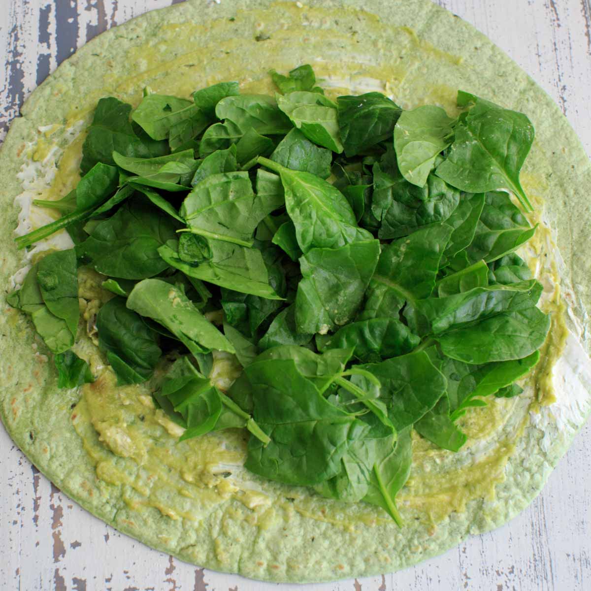 fresh baby spinach added on top of green tortilla that has guacamole and spreadable cream cheese on top