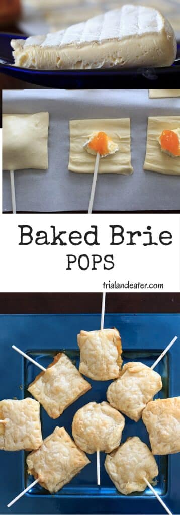 These baked brie pops will be a hit at any gathering! A great alternative to a plain cheese and crackers appetizer.