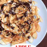 apple nachos pin