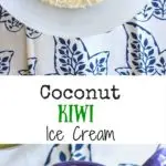 Coconut kiwi ice cream - Only 4 ingredients for a refreshing fruity ice cream that includes marshmallow cream! This no-churn, easy homemade recipe means no ice cream machine required.