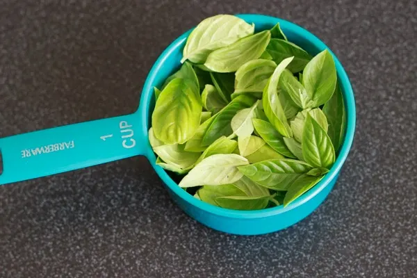 Basil spinach almond pesto. Don't have pine nuts? No problem! @trialandeater