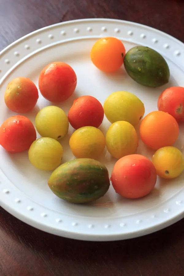 mini heirloom tomatoes on white plate