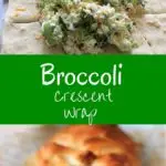 Broccoli crescent wrap - broccoli and cheese goodness all wrapped up in crescent roll dough. Easy, quick vegetarian dinner, made healthy by swapping out the mayonnaise!