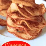 cinnamon apple chips pin