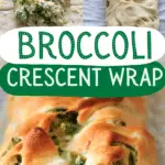 broccoli crescent wrap pin