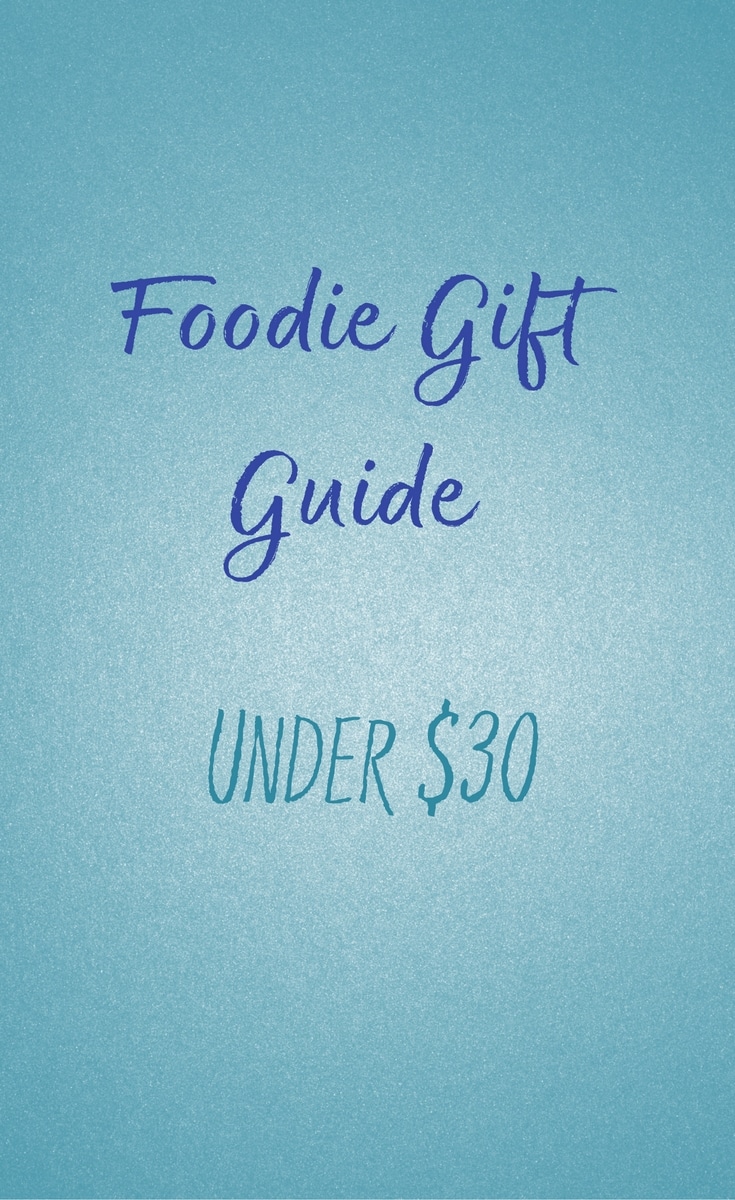 Active Kids Gift Guide {Under $30!} - The Foodie and The Fix