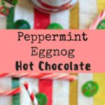 Peppermint eggnog hot chocolate using homemade (cooked) eggnog. Perfect holiday drink!