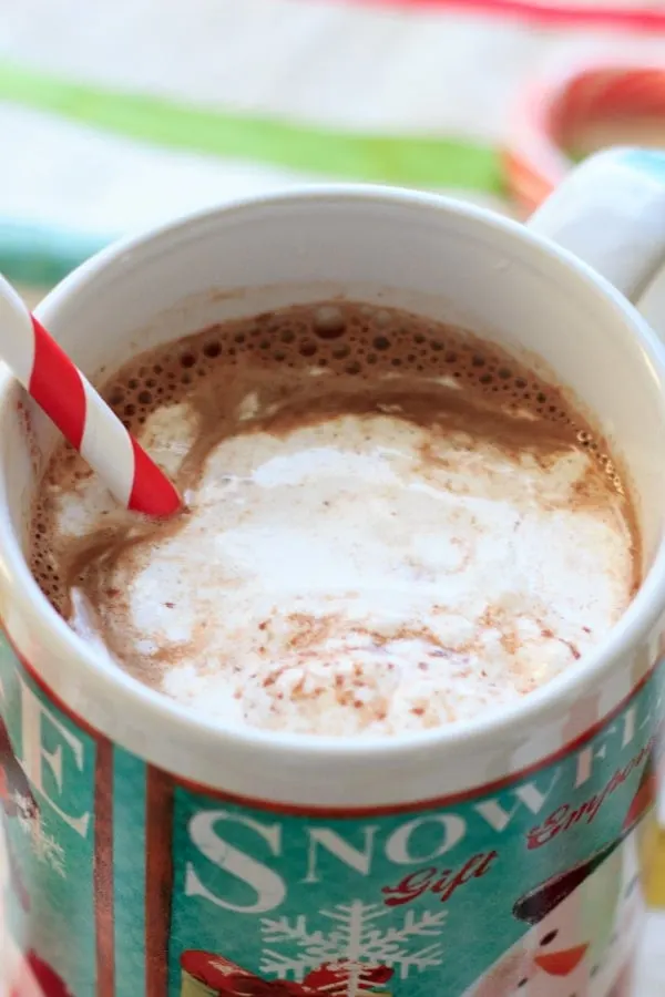 Peppermint eggnog hot chocolate using homemade (cooked) eggnog. Perfect holiday drink!