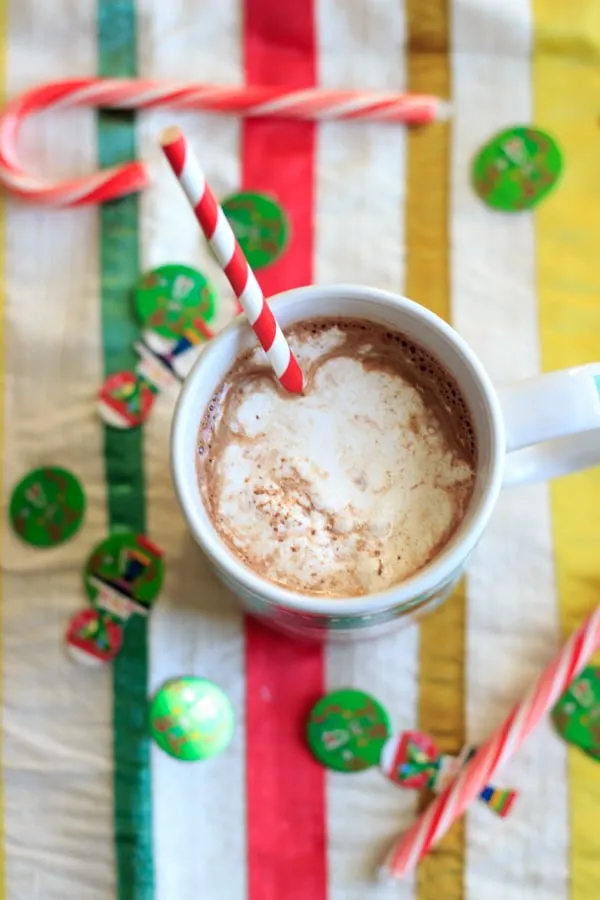 Peppermint eggnog hot chocolate using homemade (cooked) eggnog. Perfect holiday drink!