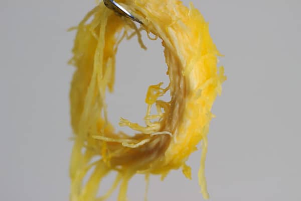 holding a ring of spaghetti squash up in air with fork