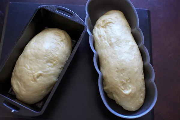 two loaves of paska bread dough in bread pans waiting to go in oven