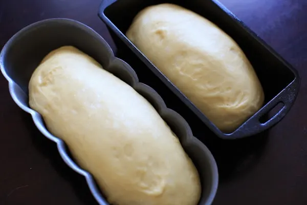 easter paska bread dough after rising