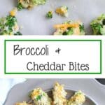 Broccoli Cheddar Bites - perfect snack or finger food for a delicious serving of veggies. Both kids and adults will love them!