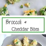 Broccoli Cheddar Bites - perfect snack or finger food for a delicious serving of veggies. Both kids and adults will love them!