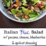 Italian Blue Salad - mixed greens served with blue cheese, honey roasted pecans, fresh blueberries and an apricot vinaigrette dressing.