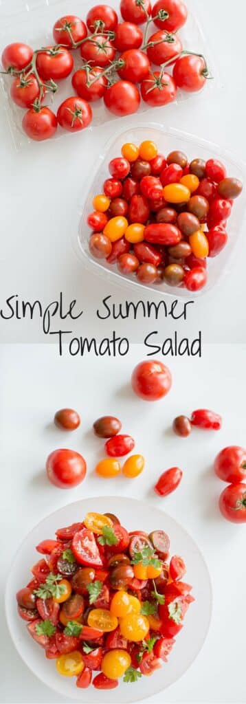 Simple Summer Tomato Salad. Healthy, light, delicious and portable so you can pack it for all your summer adventures.