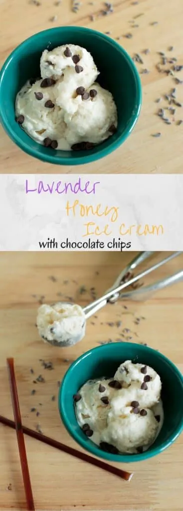 Lavender Honey Ice Cream with Chocolate Chips - The perfect unique ice cream flavor for that will have everyone asking for more. No eggs required.