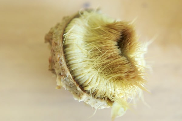 Lemon Garlic Roasted Artichokes - a simple and different way to cook this veggie side dish. Serve with melted butter or other favorite dip!