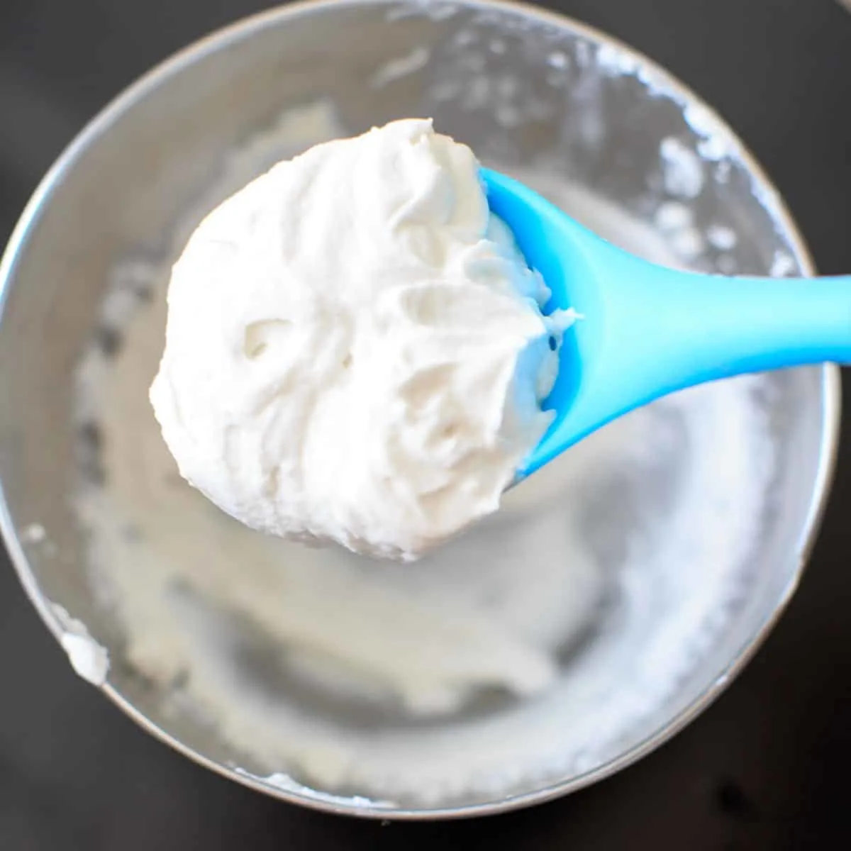 Vegan whipped cream made from coconut cream. Plus 4 flavors to try: chocolate, vanilla, peanut butter and cinnamon!