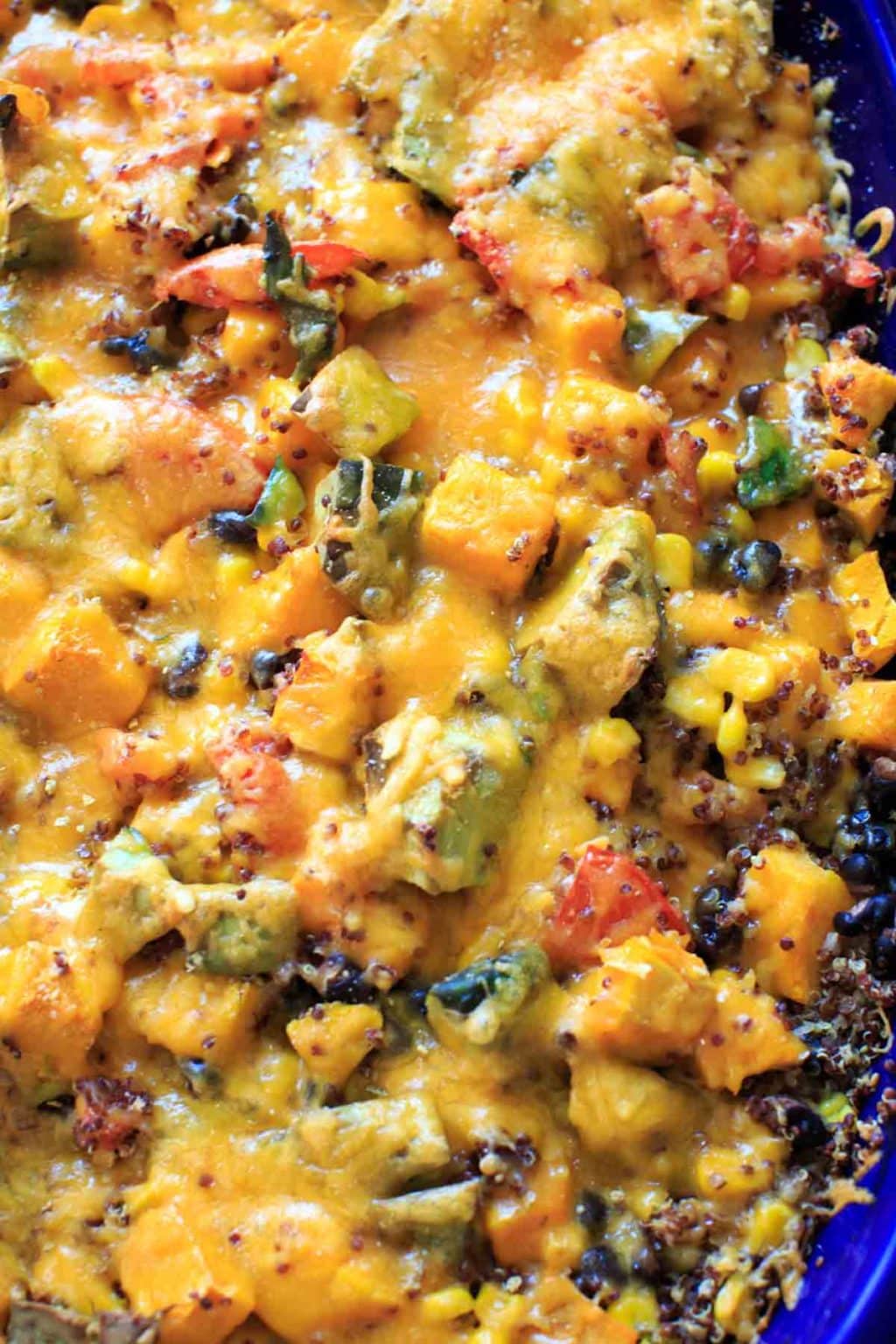 close up of the butternut squash cheesy quinoa casserole