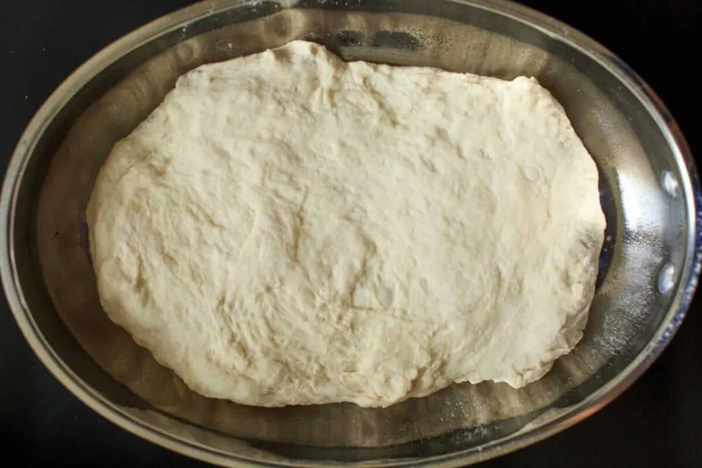 dough before rise