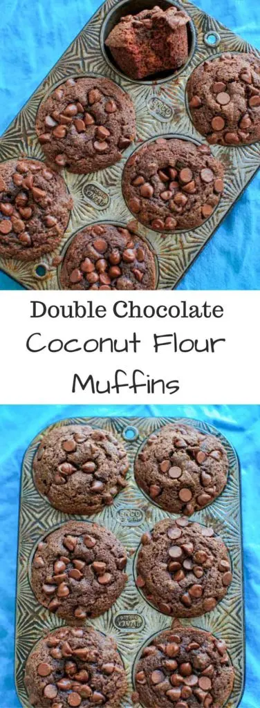 Double Chocolate Coconut Flour Muffins - naturally sweetened with no added sugar, and a paleo friendly snack.
