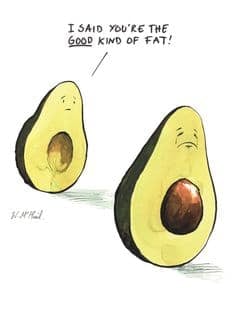 Avocado meme good kind of fat