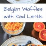 Belgian Waffles made healthy with split red lentils, blood orange juice and blueberries. Breakfast doesn't get any better than this!