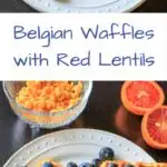 Belgian Waffles made healthy with split red lentils, blood orange juice and blueberries. Breakfast doesn't get any better than this!