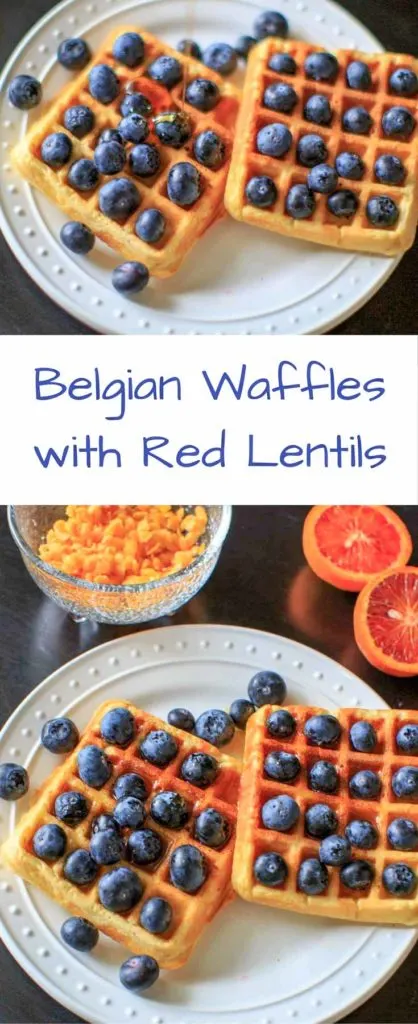 Belgian Waffles made healthy with split red lentils, blood orange juice and blueberries. Belgian lentil waffles! Breakfast doesn't get any better than this!