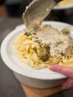 Dinner Party: How to make your own pasta from scratch. Dinner plate.