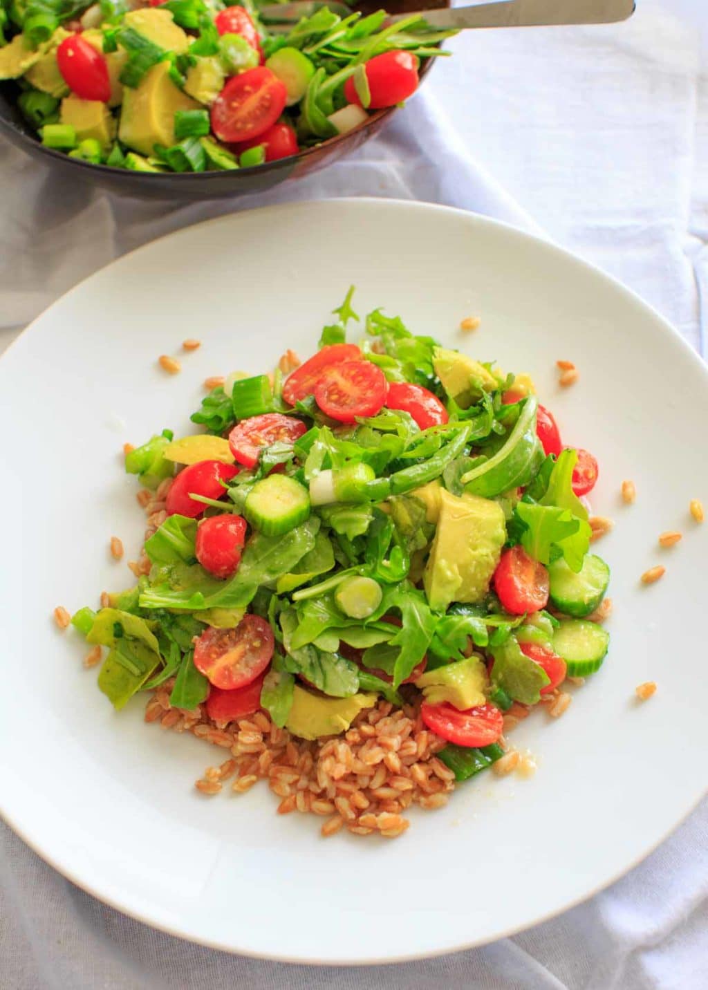 cucumber avocado farro salad on a white plate