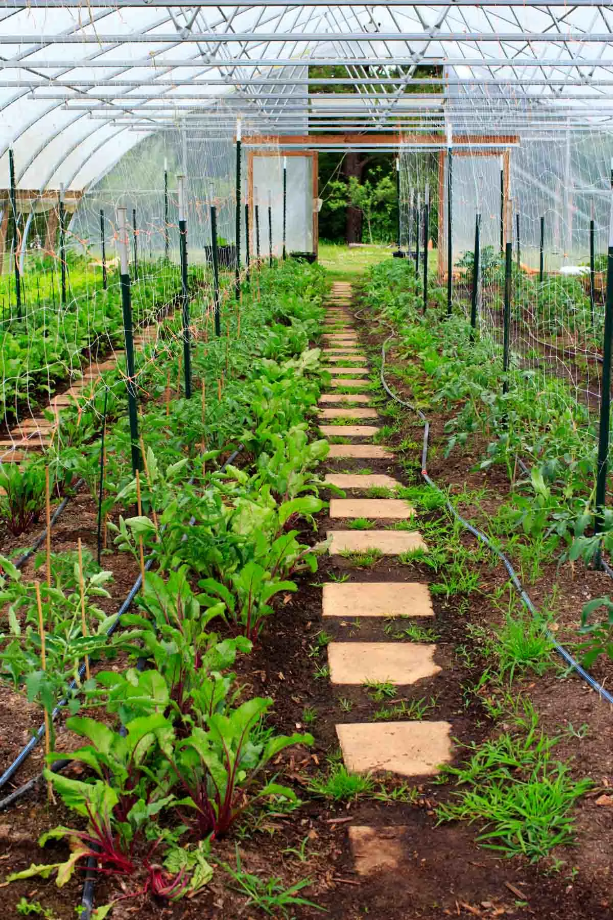 Peaceful River Farm Tour