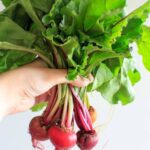 Produce from Peaceful River Farm - baby beets