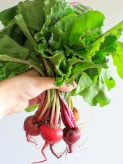 Produce from Peaceful River Farm - baby beets