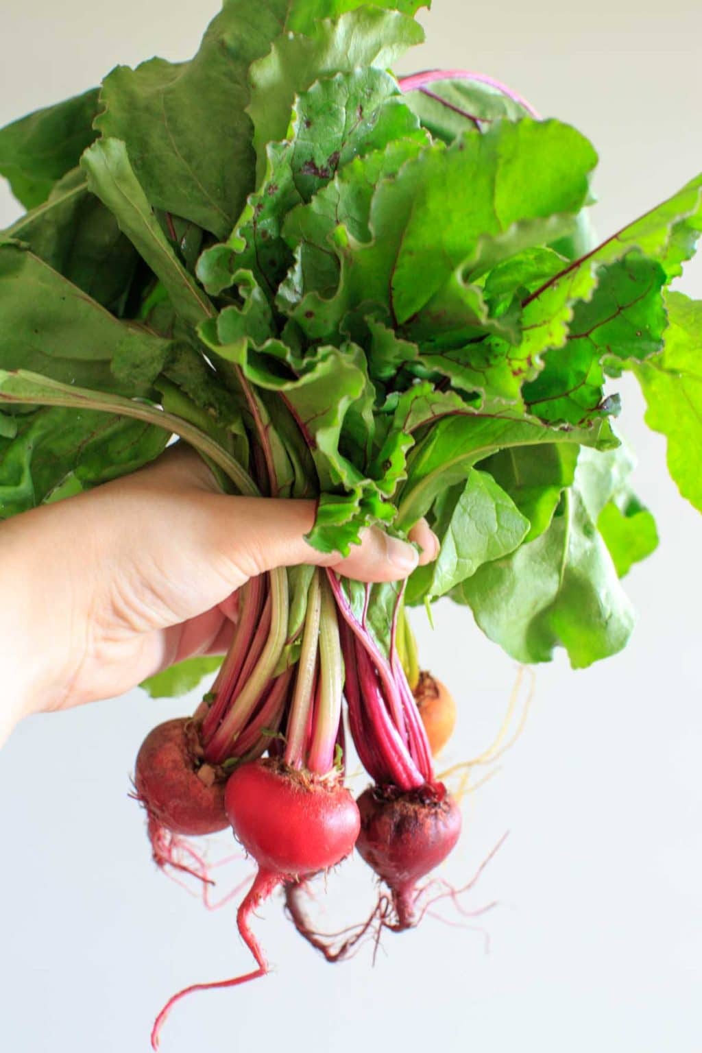 Produce from Peaceful River Farm - baby beets