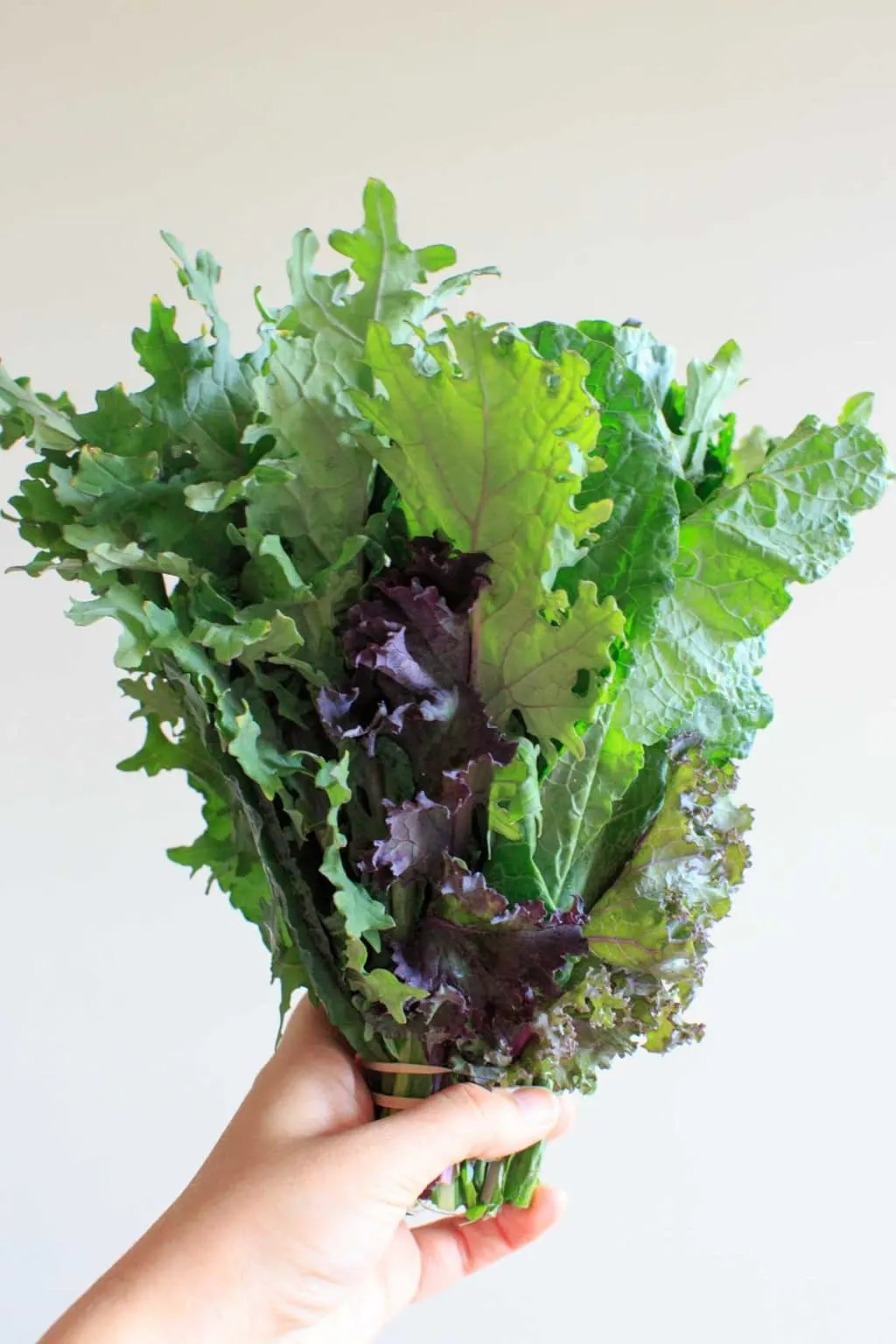 Produce from Peaceful River Farm - mixed lettuc