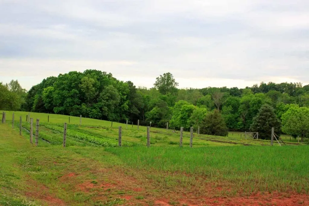 Peaceful River Farm Backyard