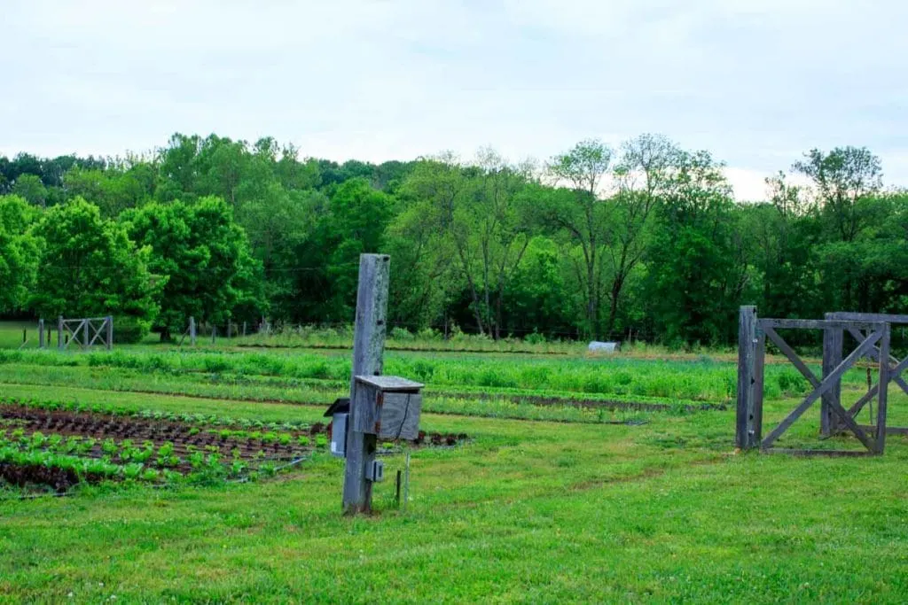 Peaceful River Farm Landscape