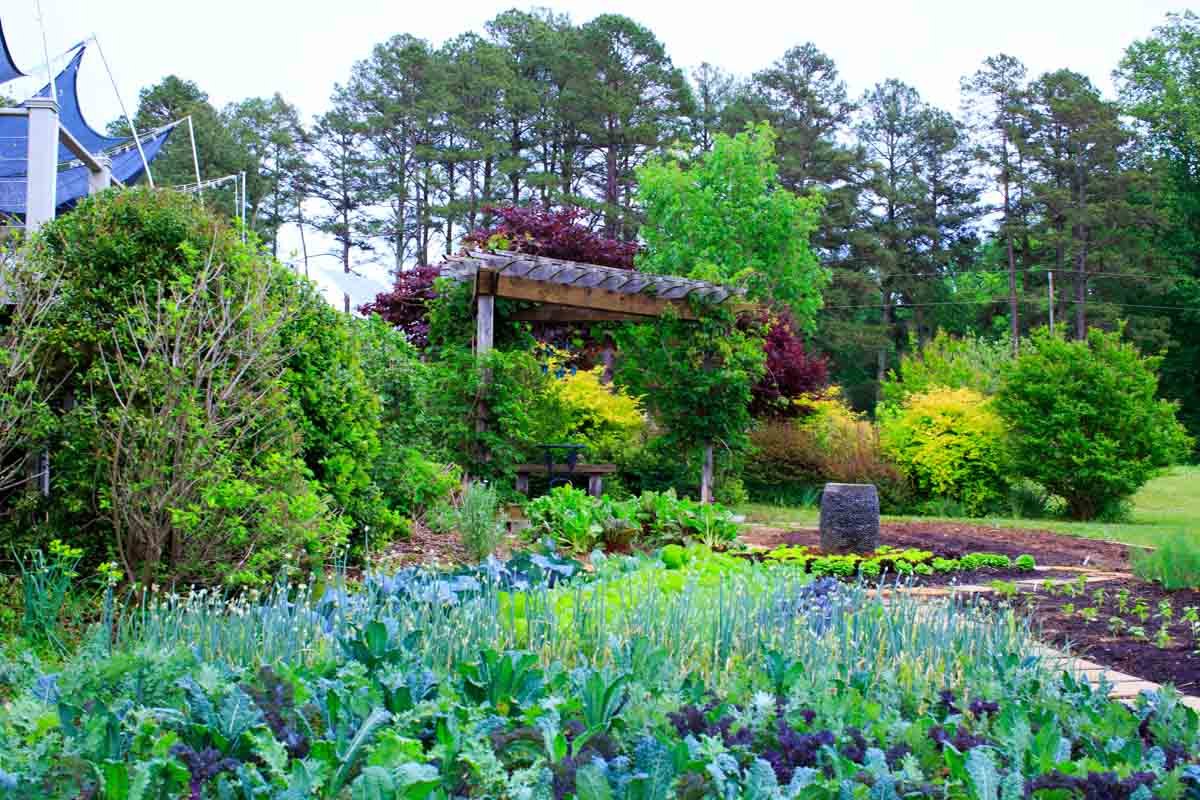 Peaceful River Farm Back Porch