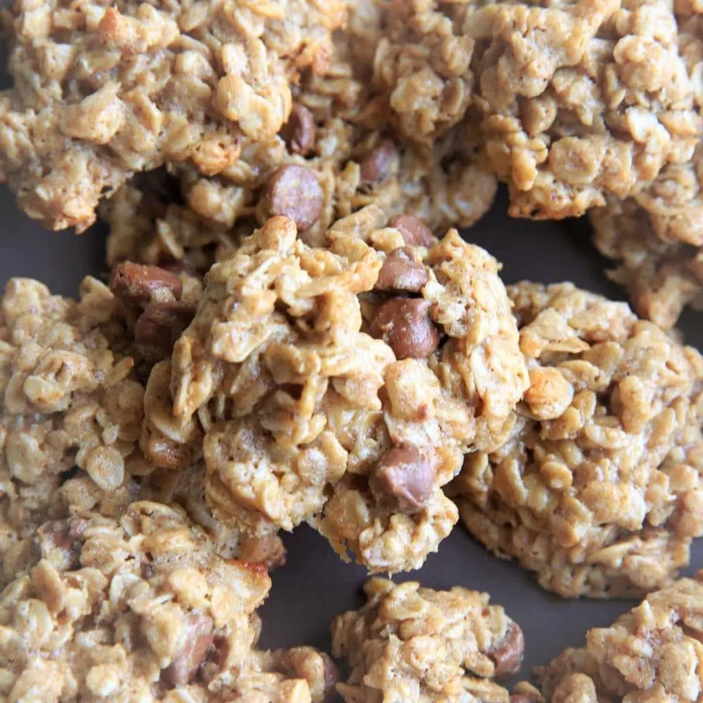 Gluten free version of lactation cookies with oats, peanut butter and chocolate chips.