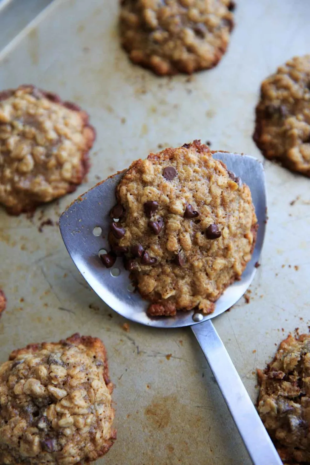 Lactation cookies with less oats show a more crisp and crunchy cookie.