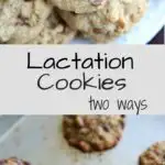 These nutrition-packed cookies are referred to as lactation cookies because they help nursing mothers produce milk, but they can be eaten by anyone! Made two ways, there is a gluten-free recipe with peanut butter as well as an easily customized flour cookie.