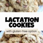 lactation cookies with gluten free option pin.